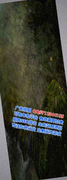 大城IVF咨询管理公司